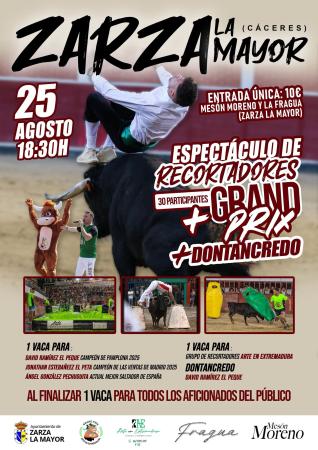 Imagen 25 de Agosto - Espectáculo de recortadores